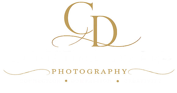 Website Logo