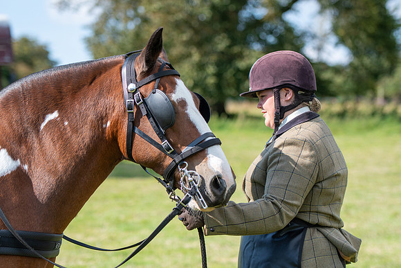 Dorset County Show 2019 (3 of 31)
