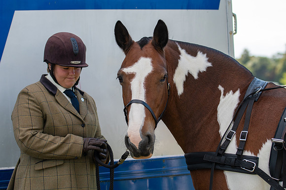 Dorset County Show 2019 (2 of 31)