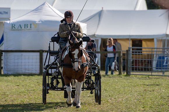 Dorset County Show 2019 (5 of 31)