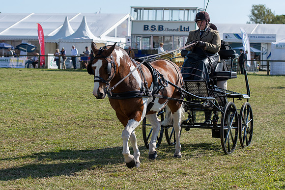 Dorset County Show 2019 (6 of 31)