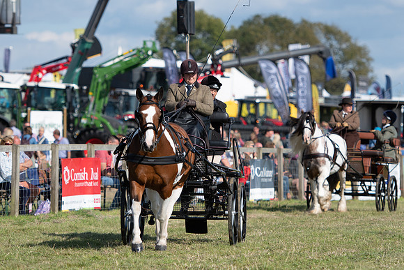 Dorset County Show 2019 (7 of 31)