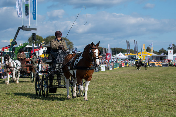 Dorset County Show 2019 (8 of 31)