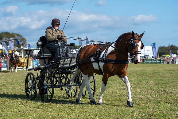 Dorset County Show 2019 (9 of 31)
