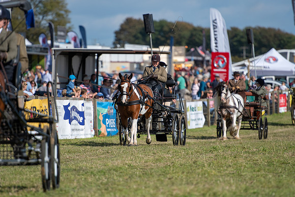 Dorset County Show 2019 (11 of 31)