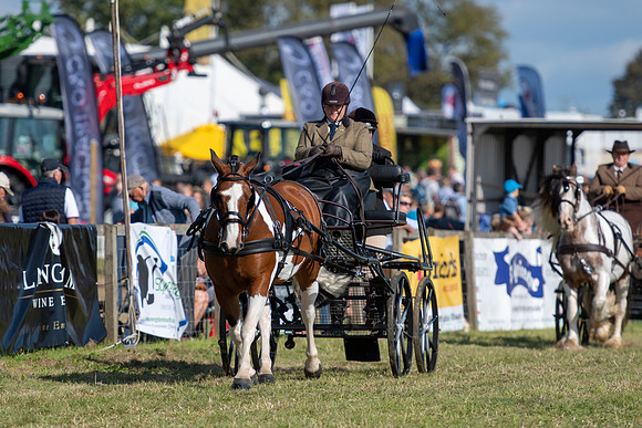 Dorset County Show 2019 (12 of 31)