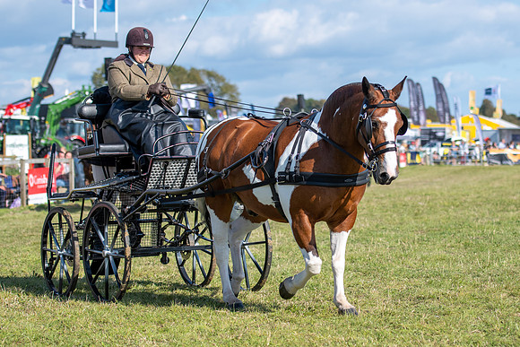 Dorset County Show 2019 (13 of 31)
