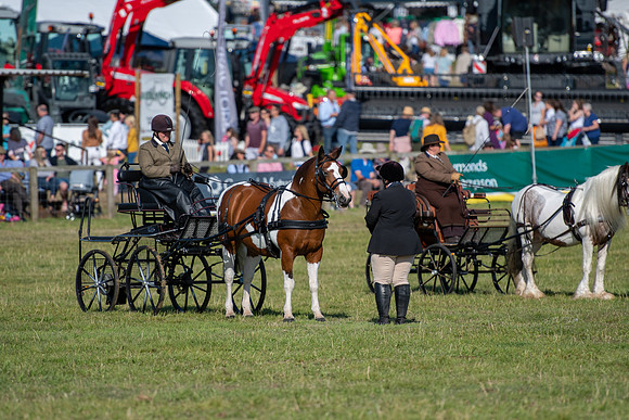 Dorset County Show 2019 (14 of 31)