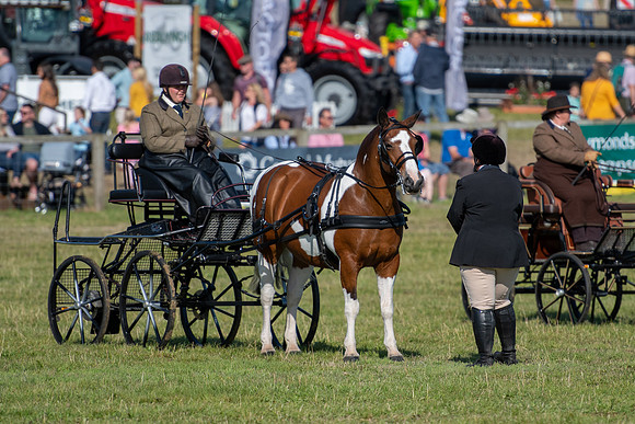 Dorset County Show 2019 (15 of 31)