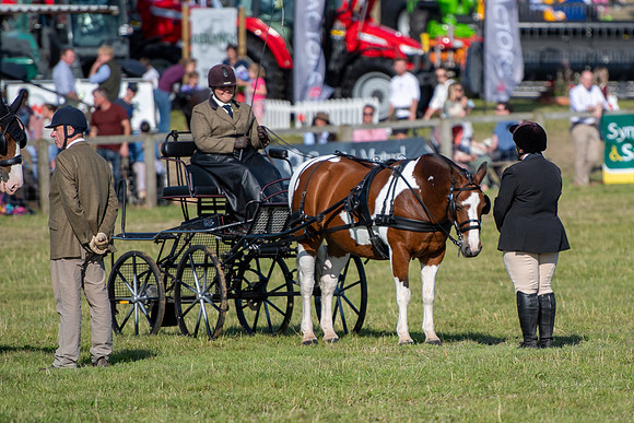 Dorset County Show 2019 (16 of 31)