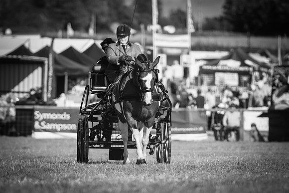 Dorset County Show 2019 (17 of 31)