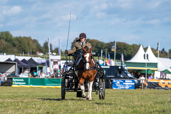 Dorset County Show 2019 (18 of 31)
