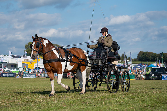 Dorset County Show 2019 (20 of 31)