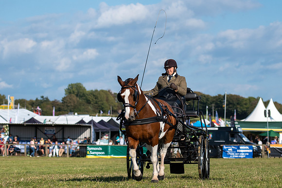 Dorset County Show 2019 (19 of 31)