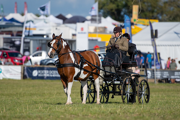 Dorset County Show 2019 (21 of 31)