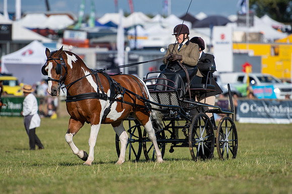 Dorset County Show 2019 (22 of 31)