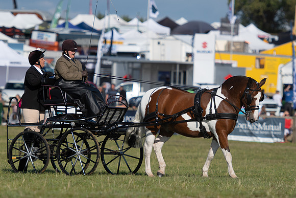 Dorset County Show 2019 (23 of 31)
