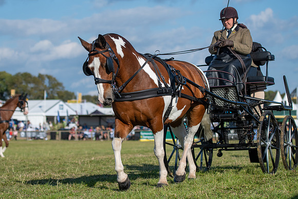 Dorset County Show 2019 (24 of 31)