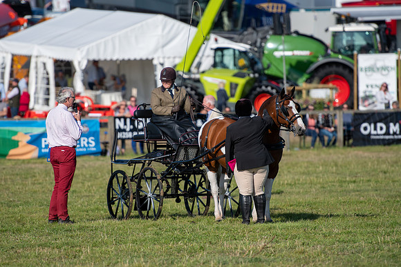 Dorset County Show 2019 (25 of 31)
