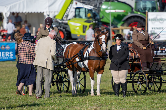 Dorset County Show 2019 (26 of 31)