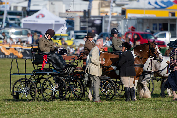 Dorset County Show 2019 (28 of 31)