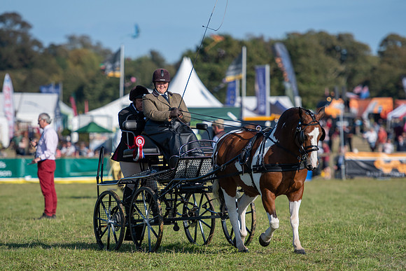 Dorset County Show 2019 (29 of 31)