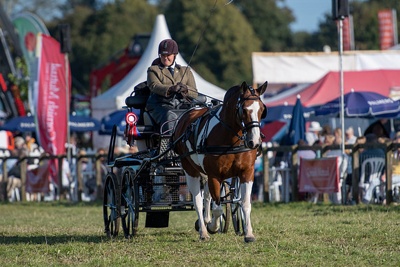 Dorset County Show 2019 (31 of 31)