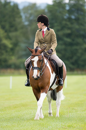 Banjo Wincanton 2021 (1 of 58)