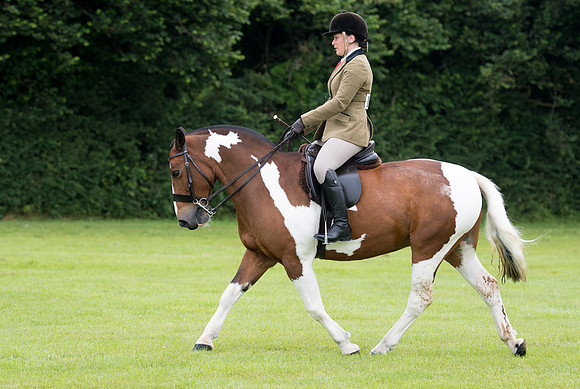 Banjo Wincanton 2021 (4 of 58)