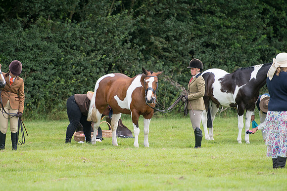 Banjo Wincanton 2021 (5 of 58)