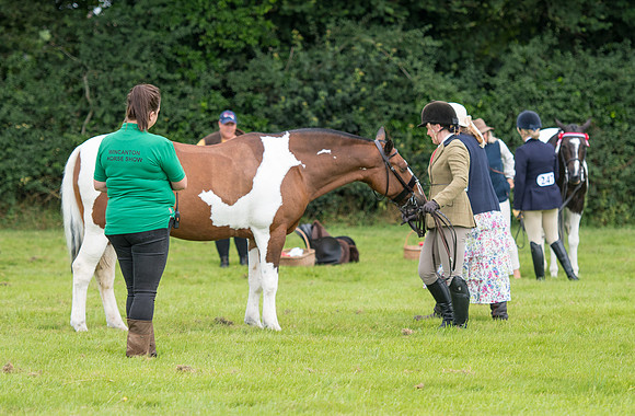 Banjo Wincanton 2021 (6 of 58)