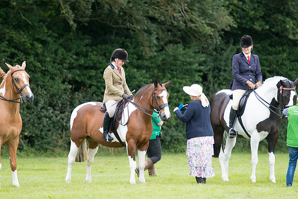 Banjo Wincanton 2021 (8 of 58)