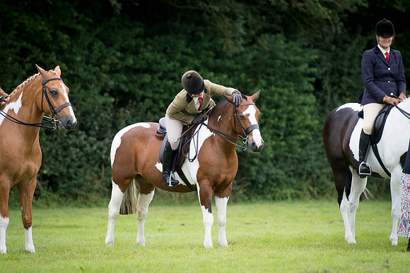 Banjo Wincanton 2021 (9 of 58)