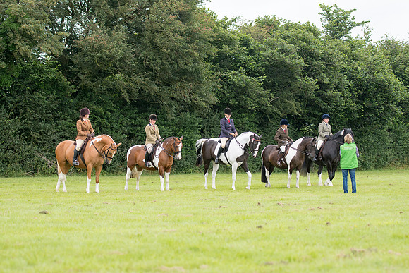 Banjo Wincanton 2021 (7 of 58)