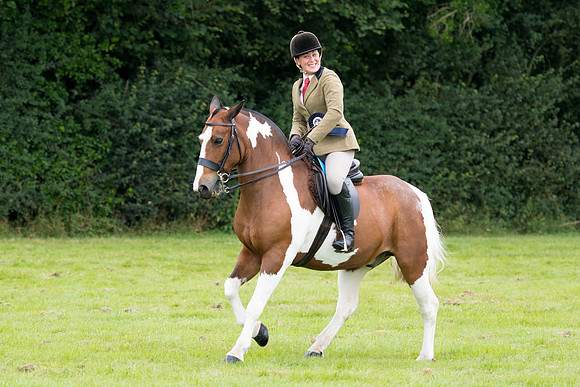 Banjo Wincanton 2021 (11 of 58)