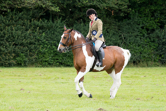 Banjo Wincanton 2021 (12 of 58)