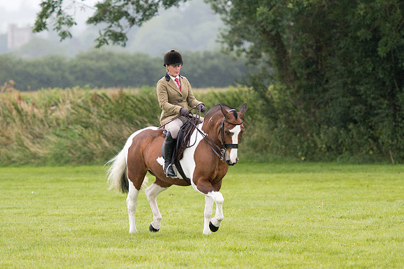 Banjo Wincanton 2021 (16 of 58)