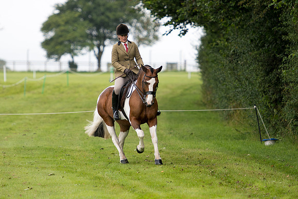 Banjo Wincanton 2021 (18 of 58)