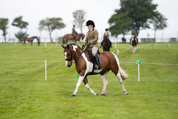 Banjo Wincanton 2021 (19 of 58)