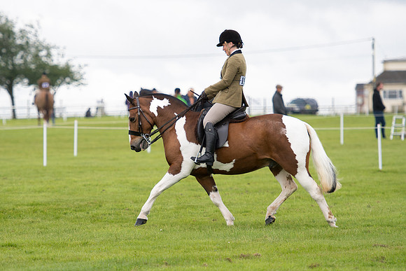 Banjo Wincanton 2021 (20 of 58)