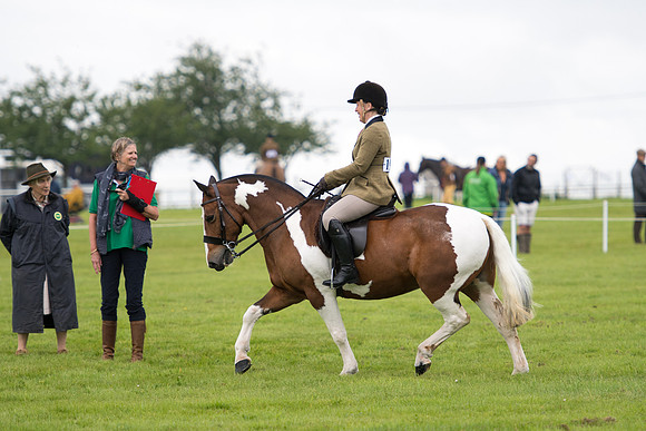 Banjo Wincanton 2021 (21 of 58)