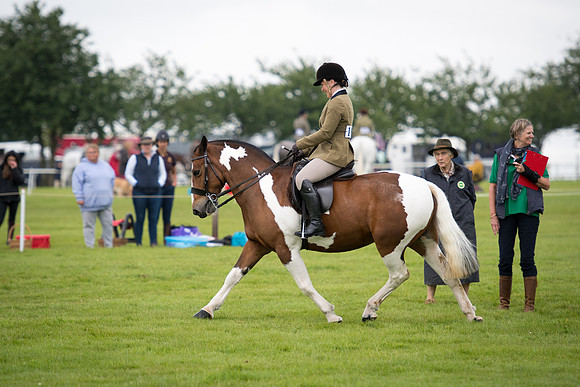 Banjo Wincanton 2021 (22 of 58)