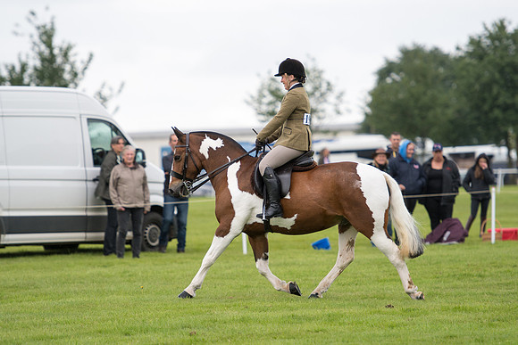 Banjo Wincanton 2021 (23 of 58)