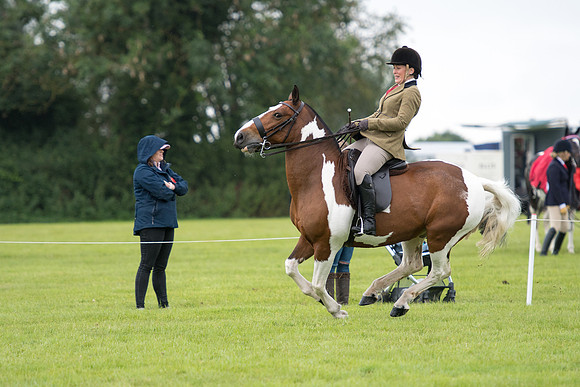 Banjo Wincanton 2021 (24 of 58)