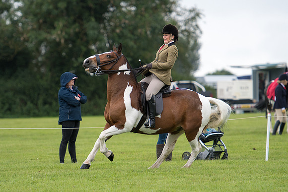 Banjo Wincanton 2021 (25 of 58)