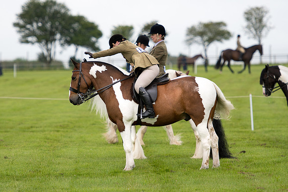 Banjo Wincanton 2021 (26 of 58)