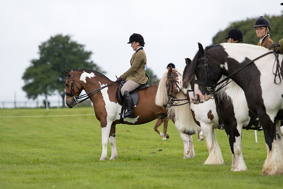 Banjo Wincanton 2021 (27 of 58)
