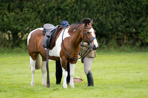 Banjo Wincanton 2021 (28 of 58)