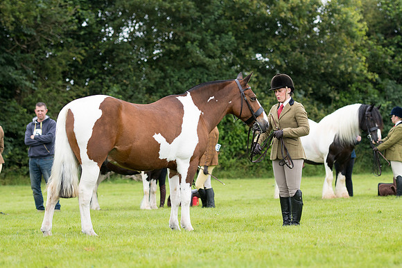 Banjo Wincanton 2021 (29 of 58)