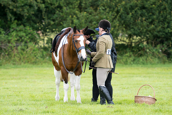 Banjo Wincanton 2021 (30 of 58)